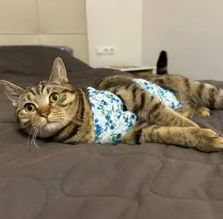 Ветеринар врач
